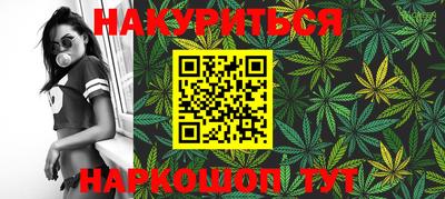 гидропоника Будённовск